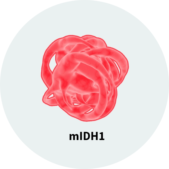 Representation of mutant IDh1 protein